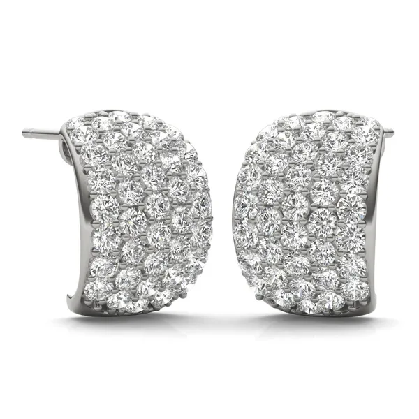 Domed Illusion Hoop Earrings
