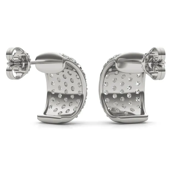Domed Illusion Hoop Earrings