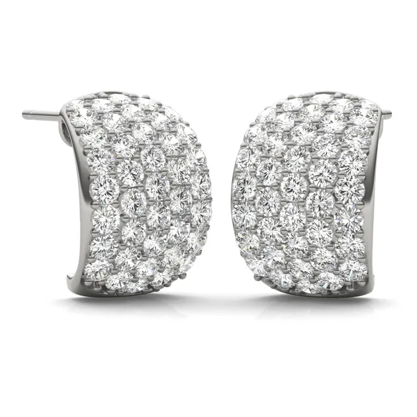 Domed Illusion Hoop Earrings