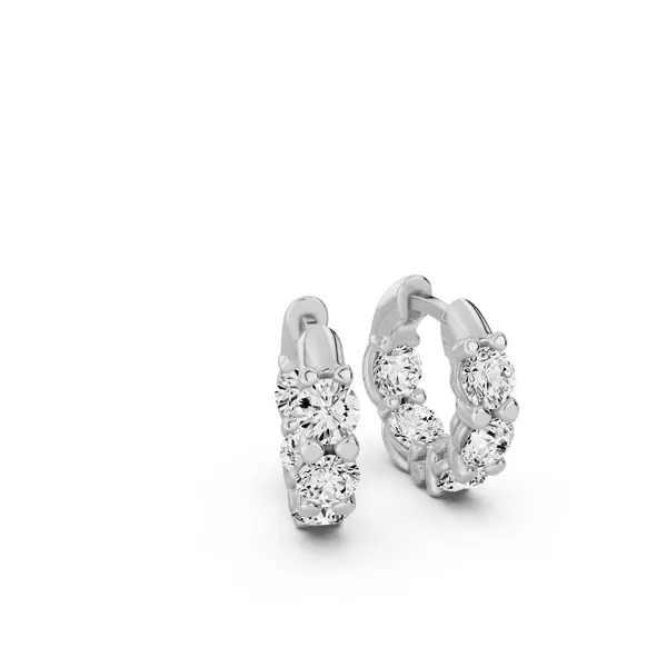 Inside Out Round Huggie Hoop Earrings