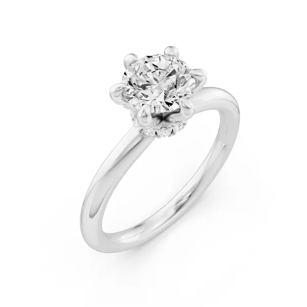 Round Hidden Halo Engagement Ring